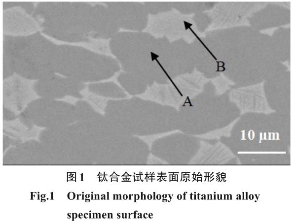 艦用鈦合金及鉻涂層抗氧化和腐蝕性能研究