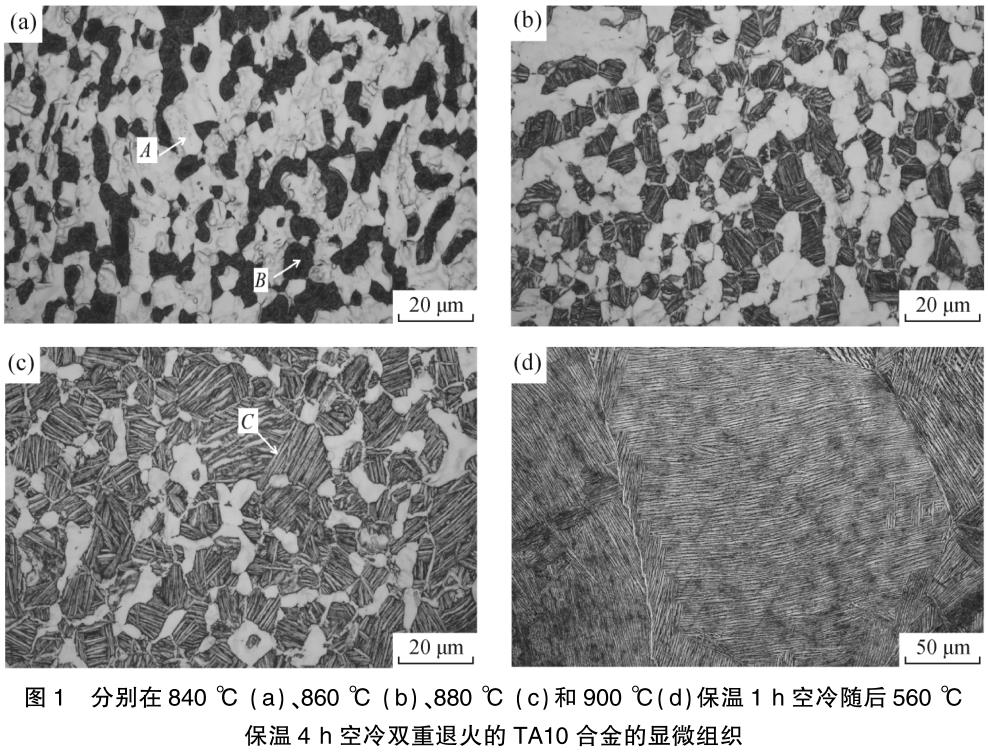 雙重退火對TA10鈦合金組織與拉伸性能的影響