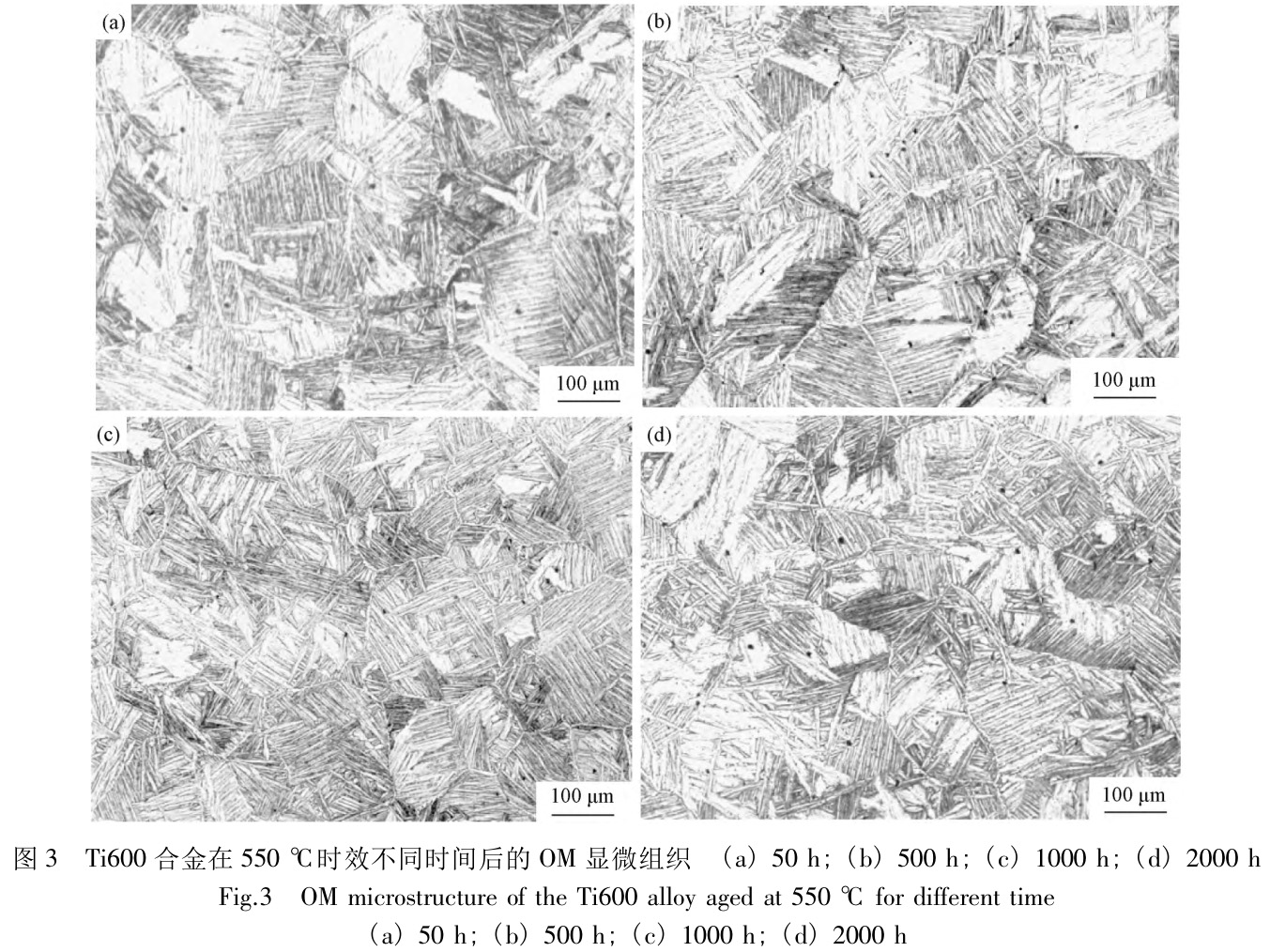 近α型高溫鈦合金長期時效過程中的組織演化行為