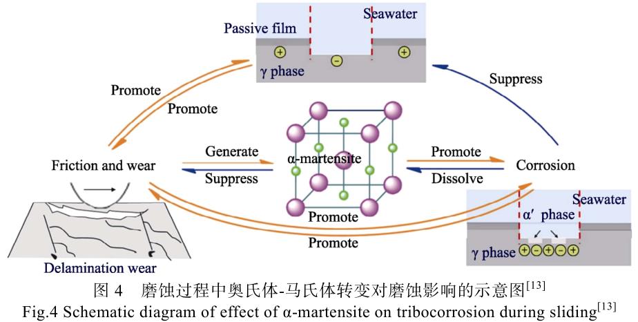 海洋環(huán)境鈦管鈦鍛件等鈦合金的應(yīng)用現(xiàn)狀及其防護技術(shù)研究